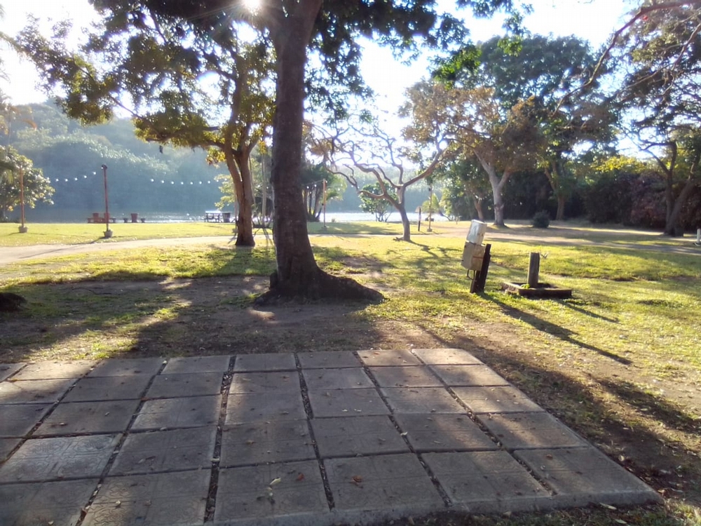 Umtentweni Caravan Park: Nice big camping sites with ample shade.